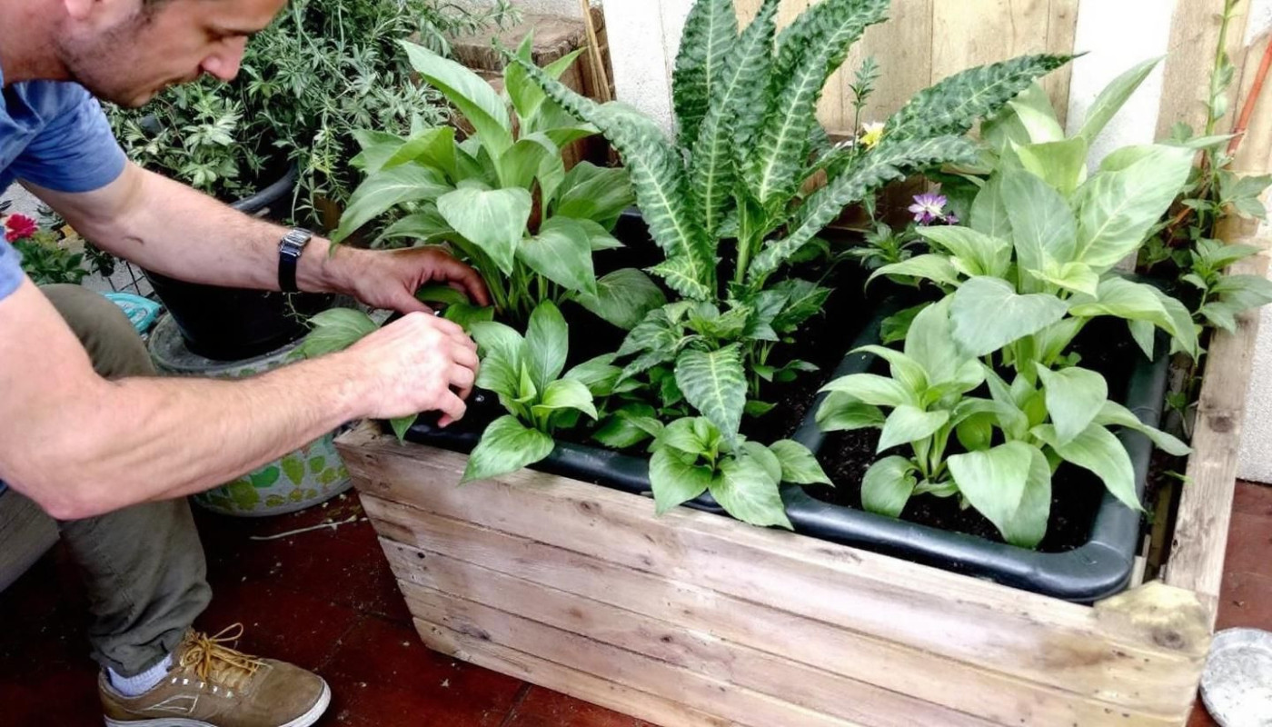 Techniques innovantes pour maximiser l'espace dans les petits jardins